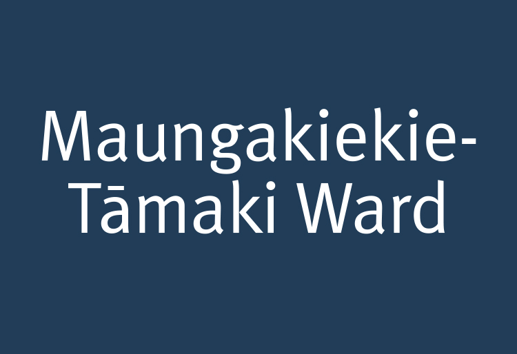 Tile leading to projects underway in the Maungakiekie-tamaki ward